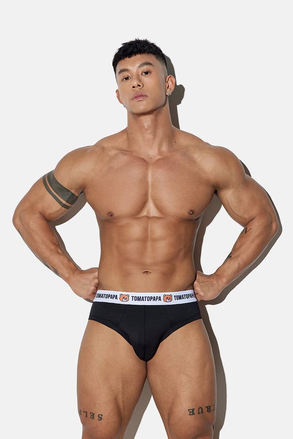 Black Bear Brief